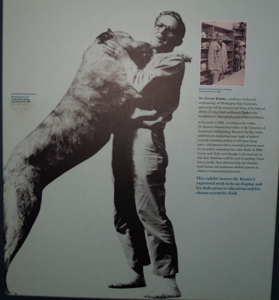 Dr. Krantz exhibit sign