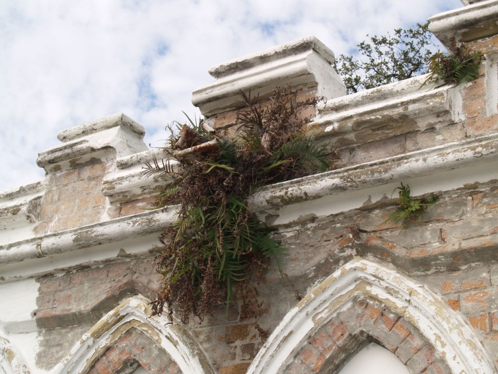 fern on Masonic tomb