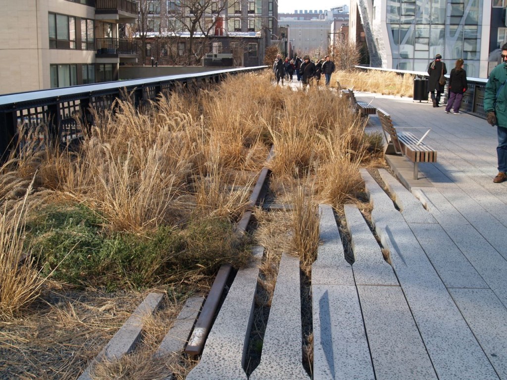 highline grass meets path