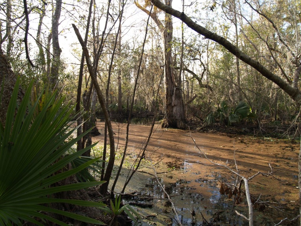streaked creek