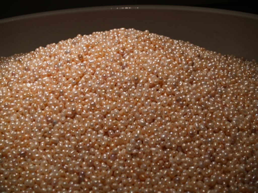 Ai Weiwei's Bowl of Pearls, unclose view of pears.