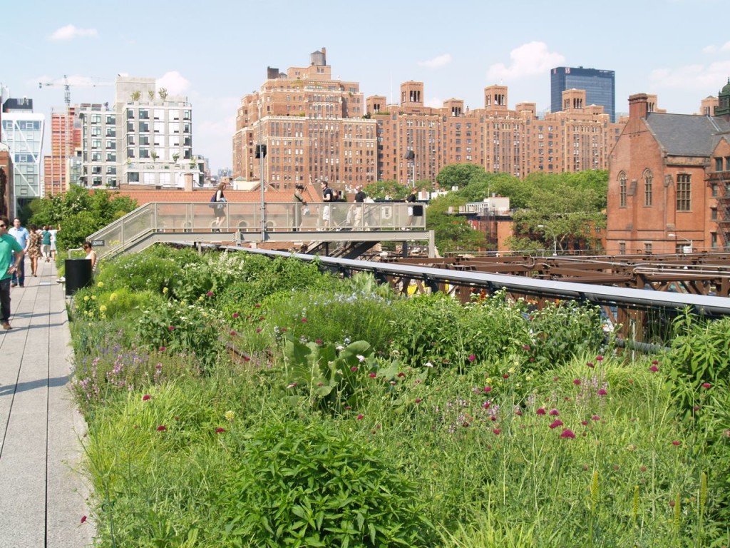 highline plants