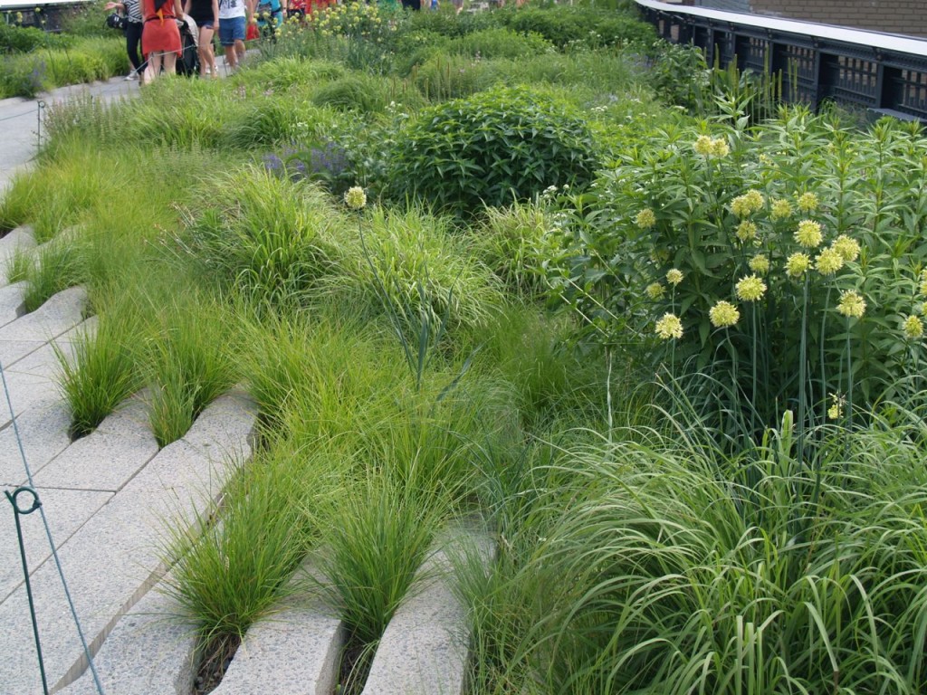 highline plants