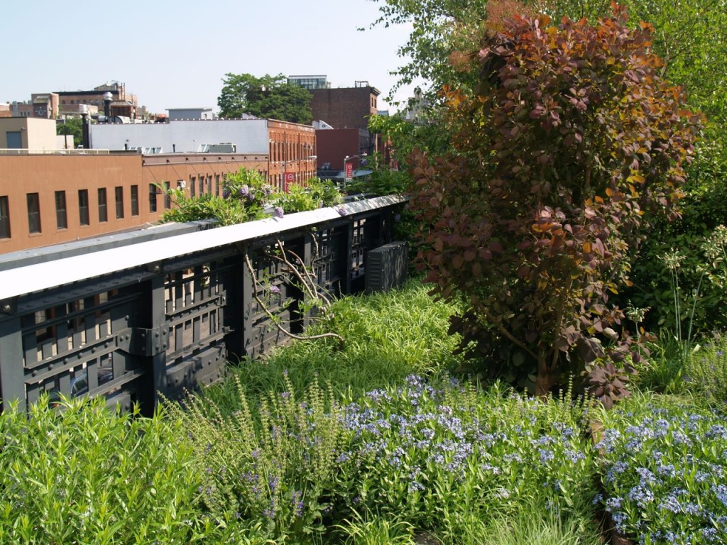 highline greenery