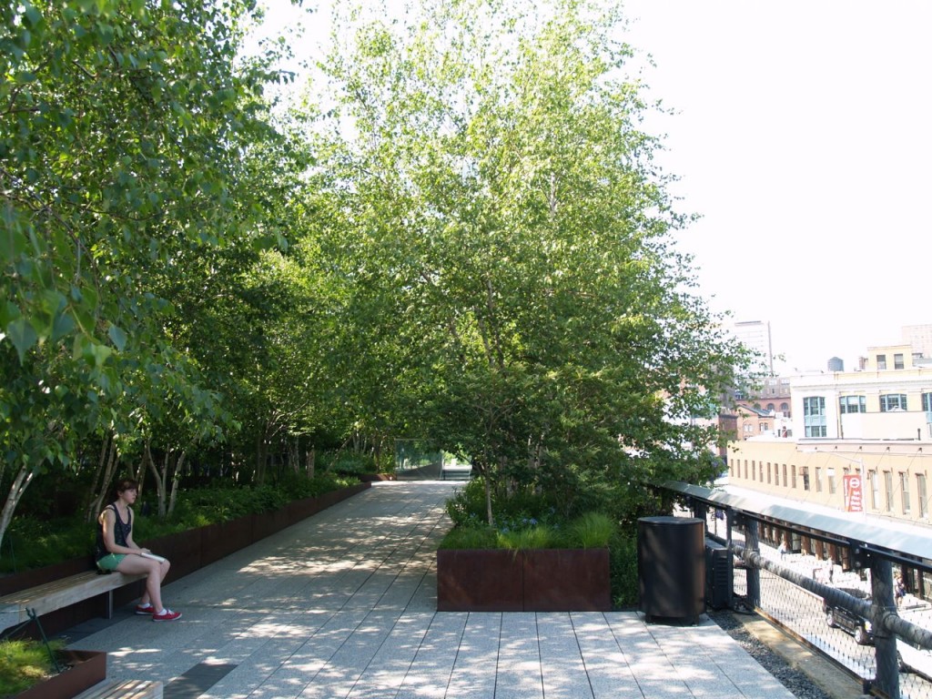 highline trees