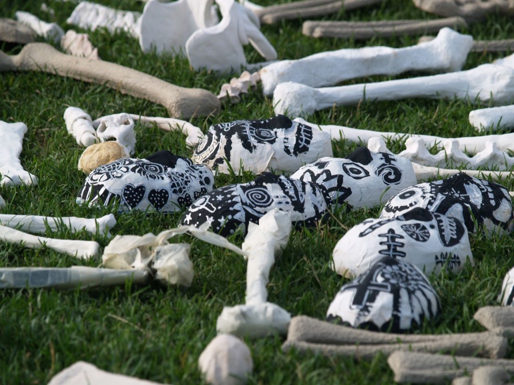 bones black and white skulls