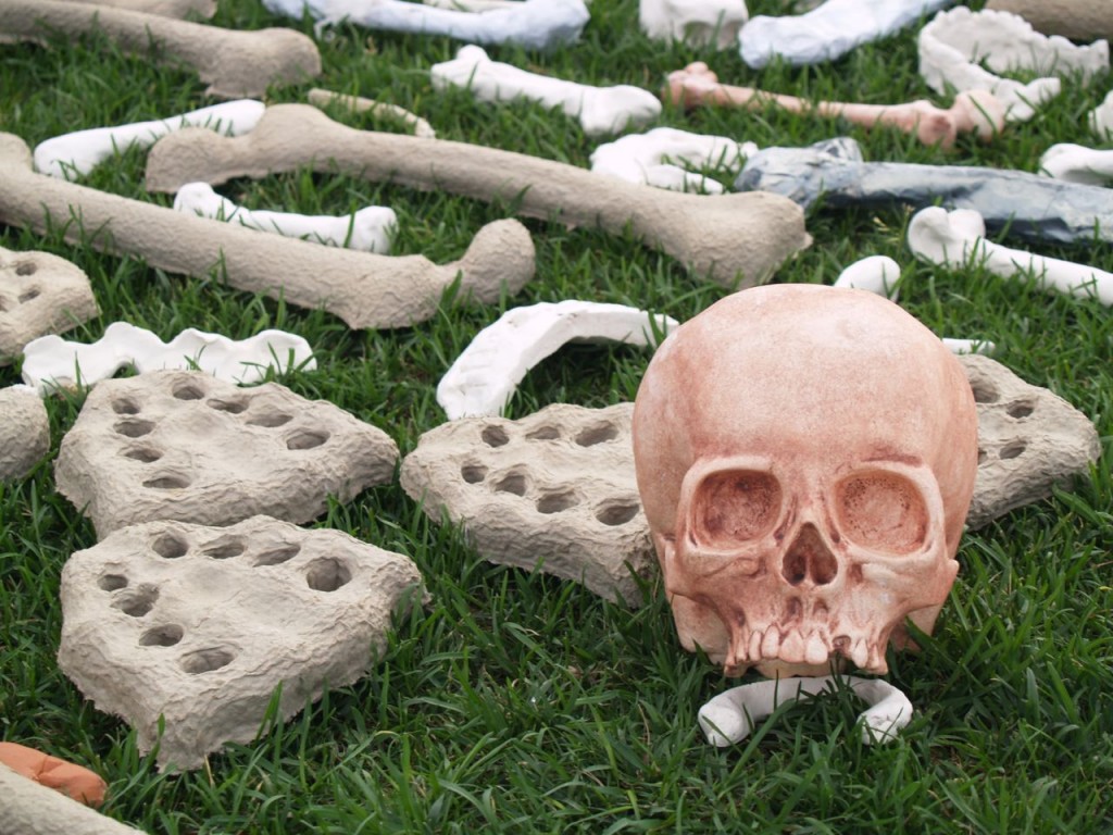 bones clay skull