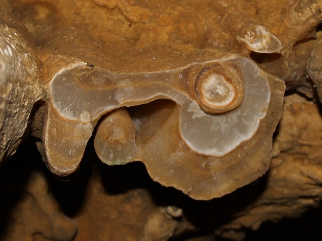 Stalactite cross section