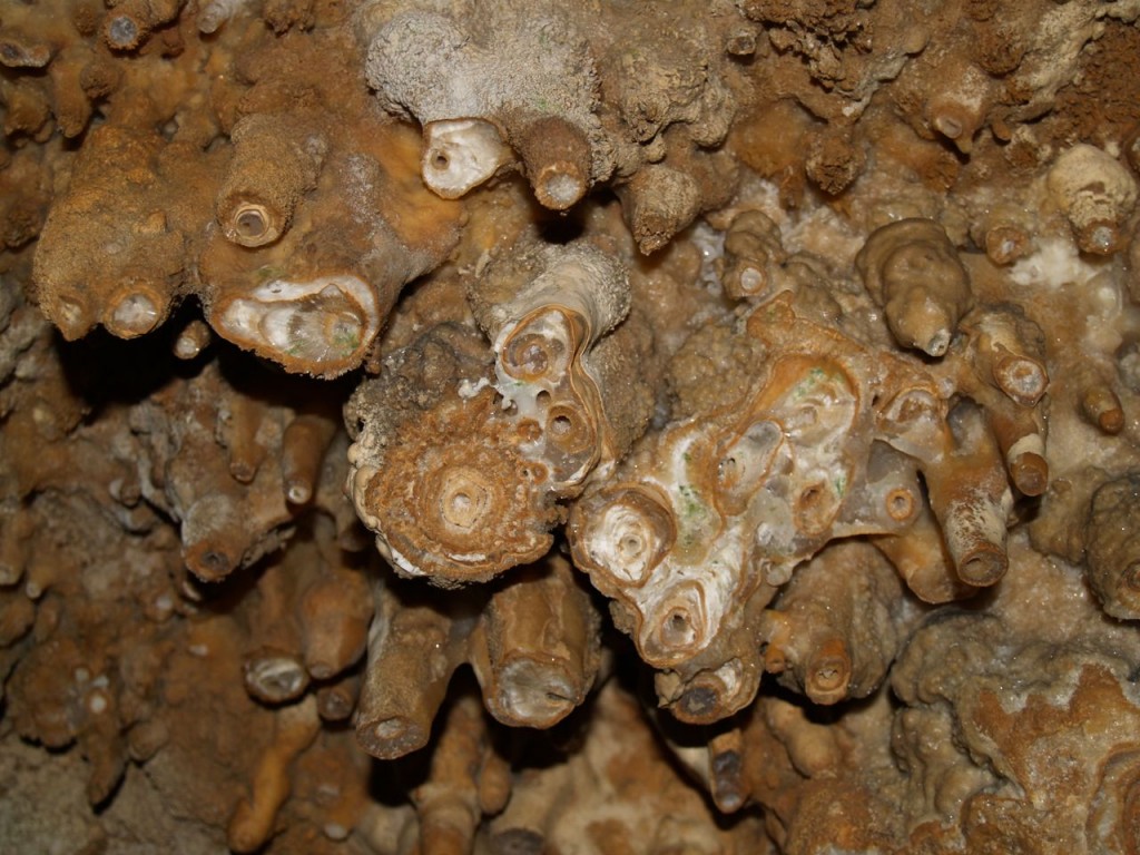 Stalactite cross section