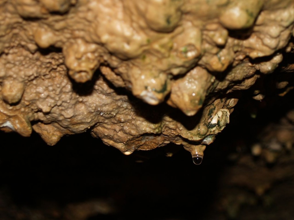 Water dropping from forming stalactites