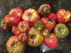 heirloom tomatoes