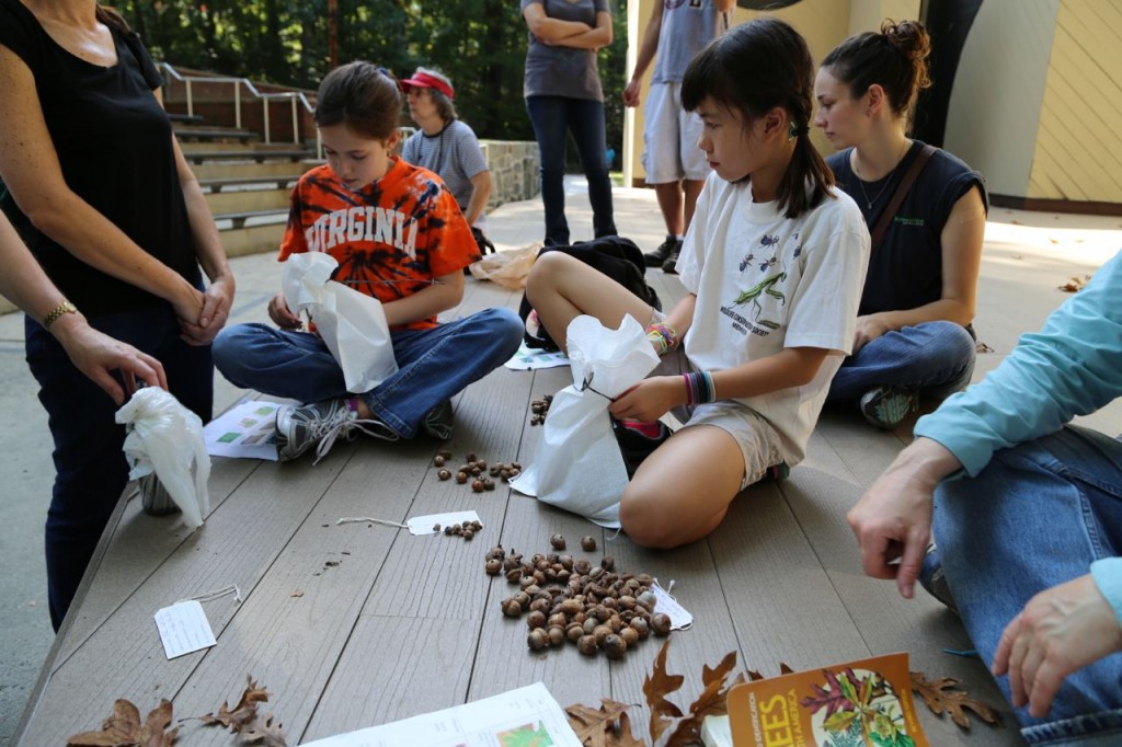 Bagging the nuts