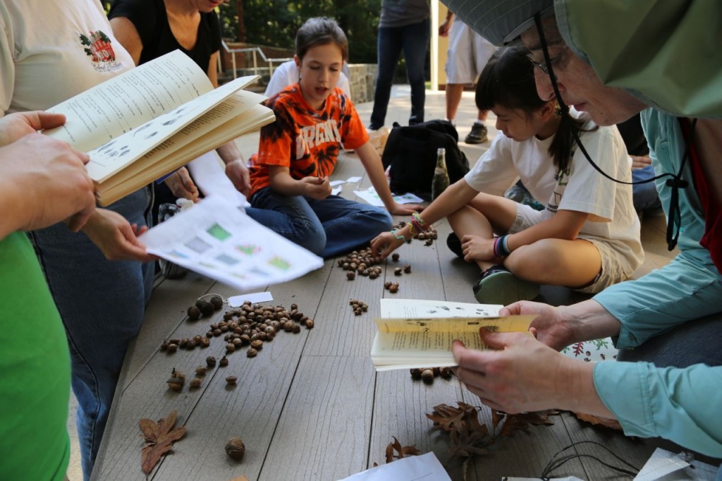 Consulting reference material to identify the acorns