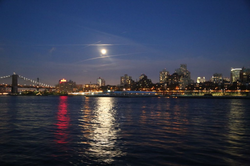 View of downtown Brooklyn from the IKEA ferry