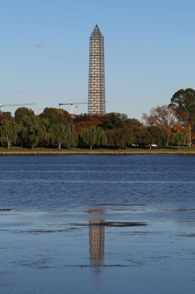 Reflection on the Potomac River