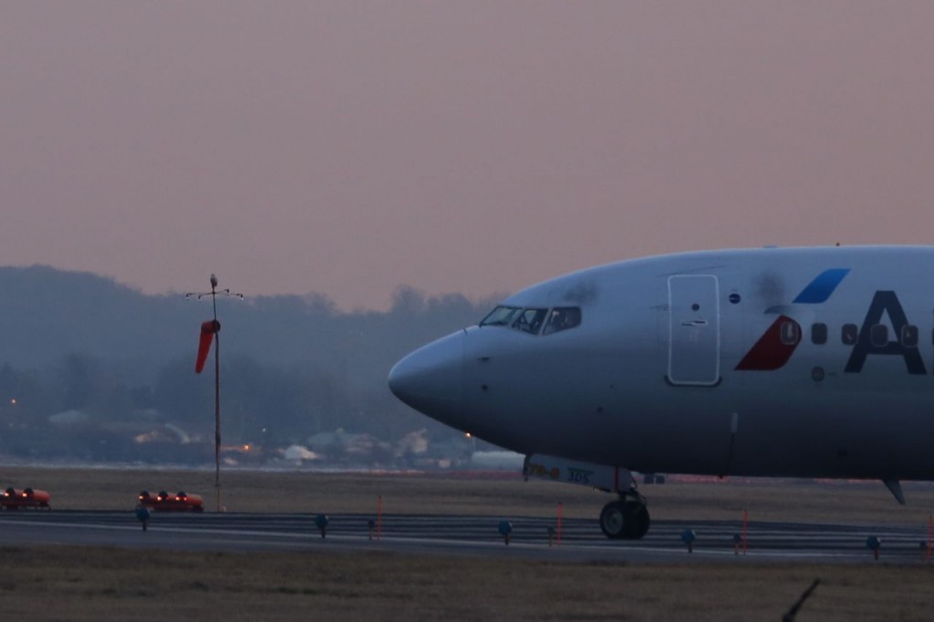 Snowy owl at Reagan National Airport