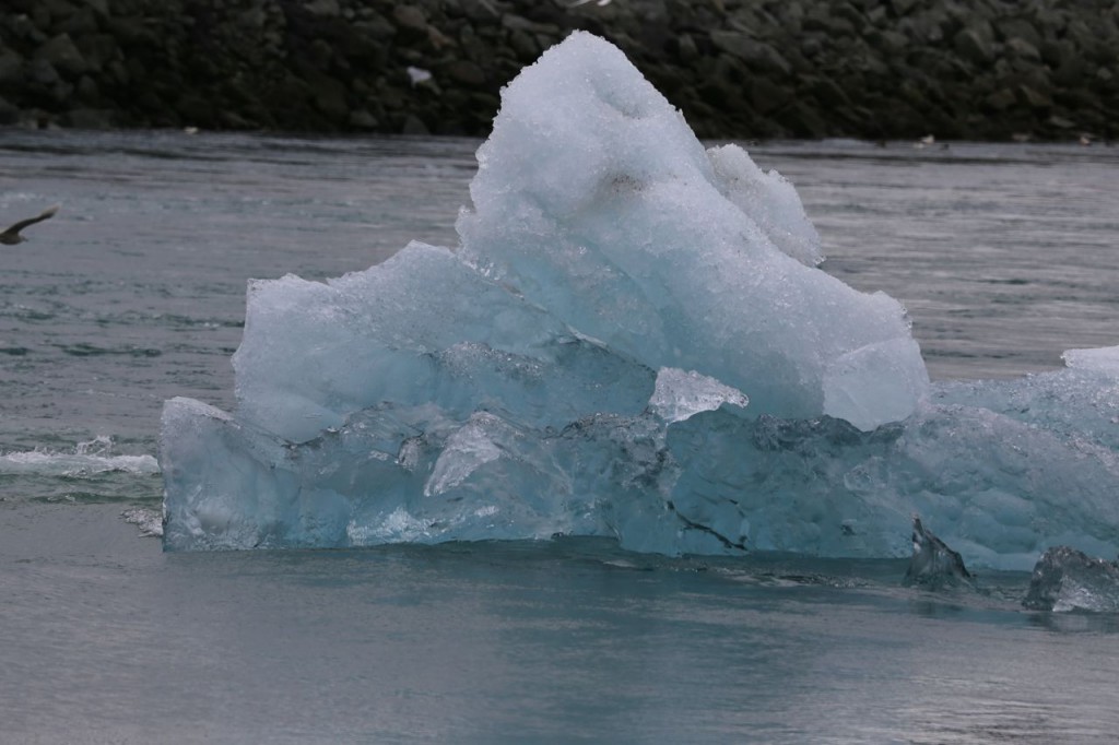 Iceberg