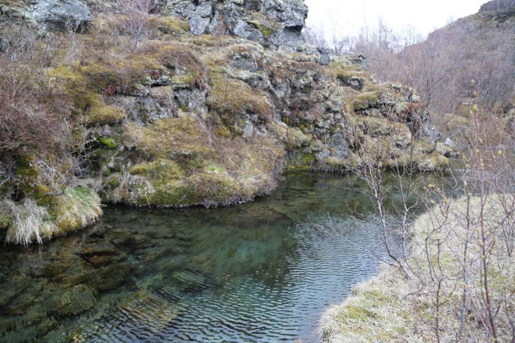 Crystal clear water of Myvatn