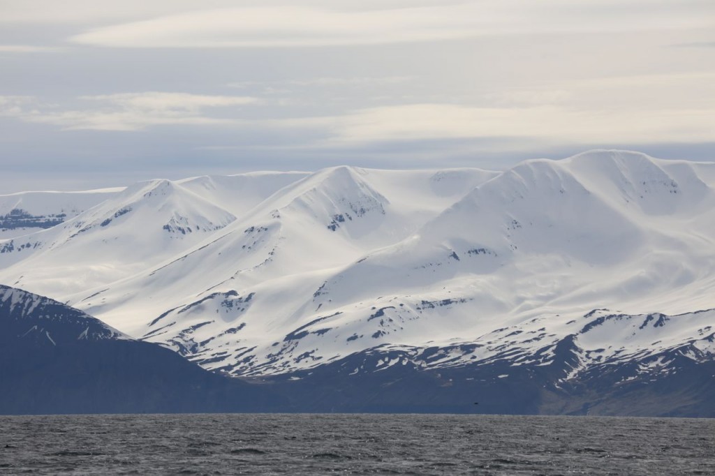 Fjord