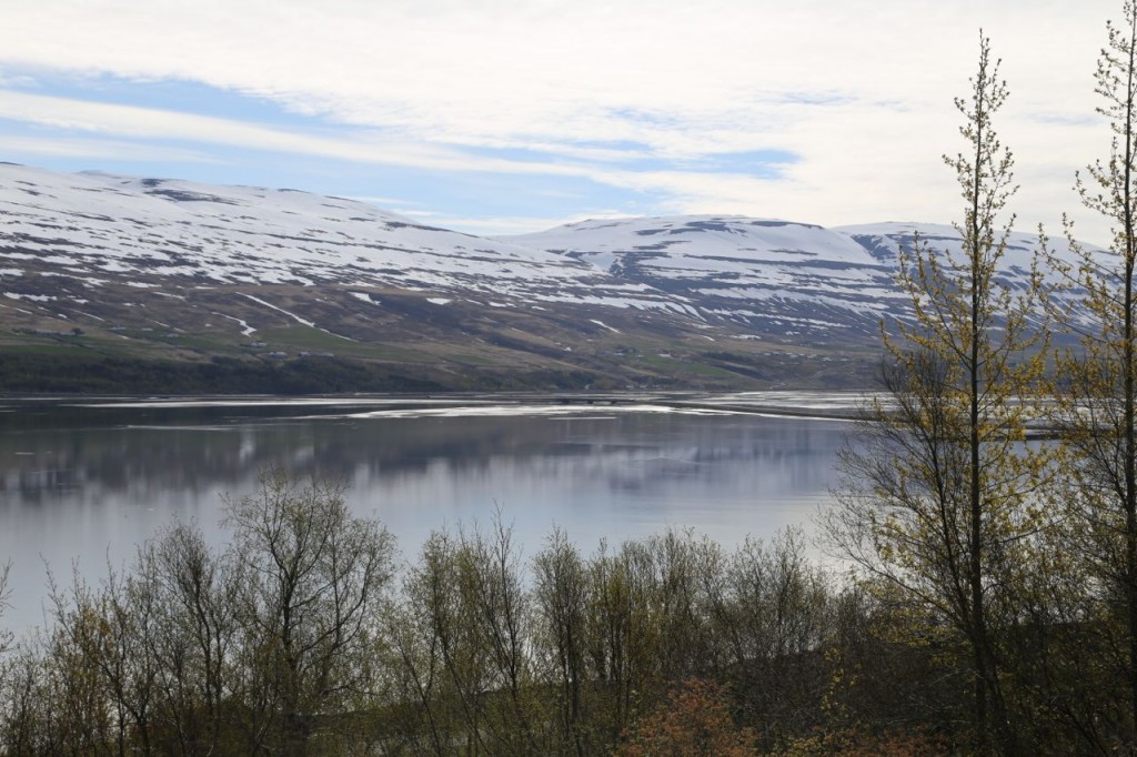 View of fjord from the city