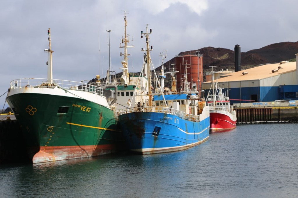 Colorful ships in port