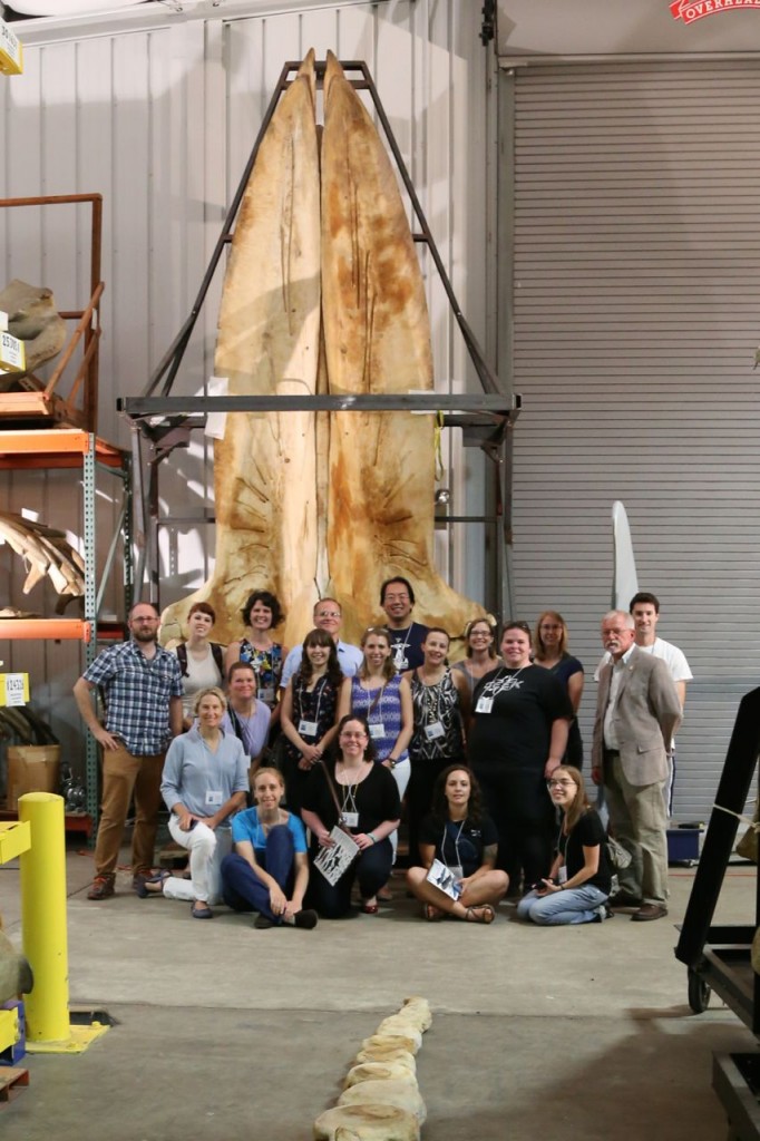 #SIWhales participants with the North Atlantic blue whale skull