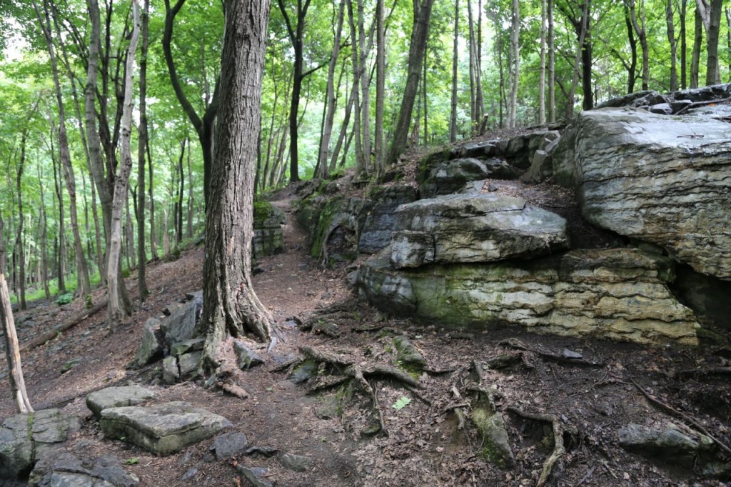 Rock outcroppings near the trails