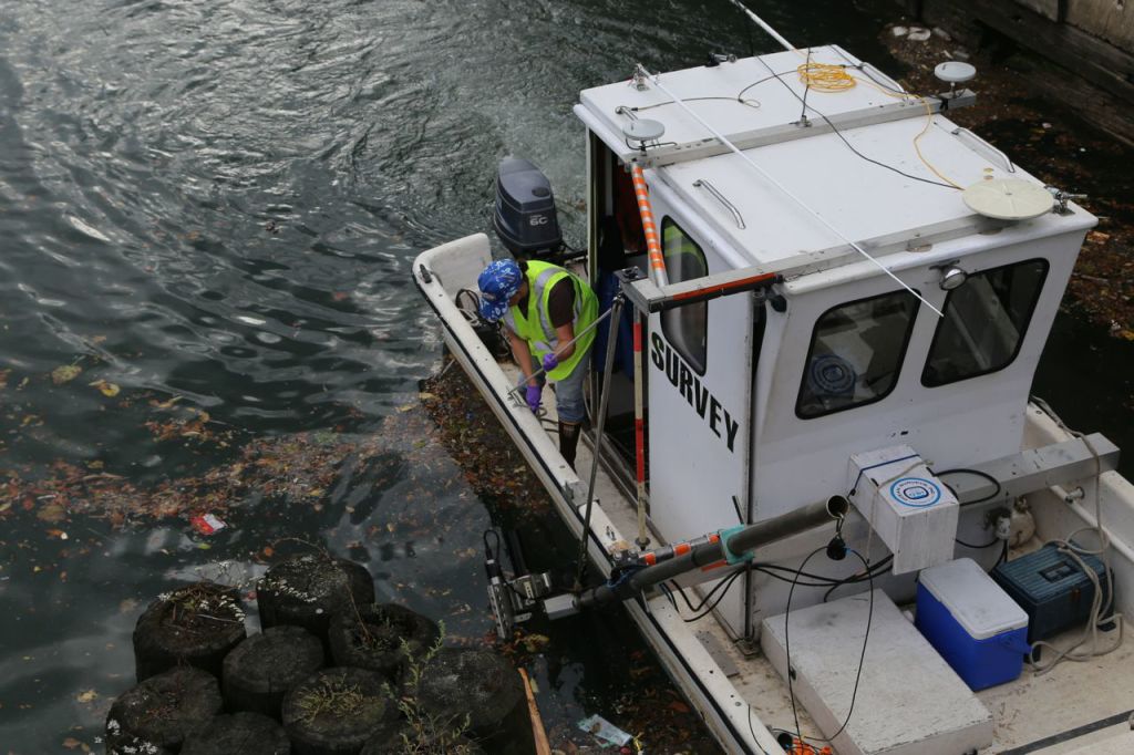 Survey boat