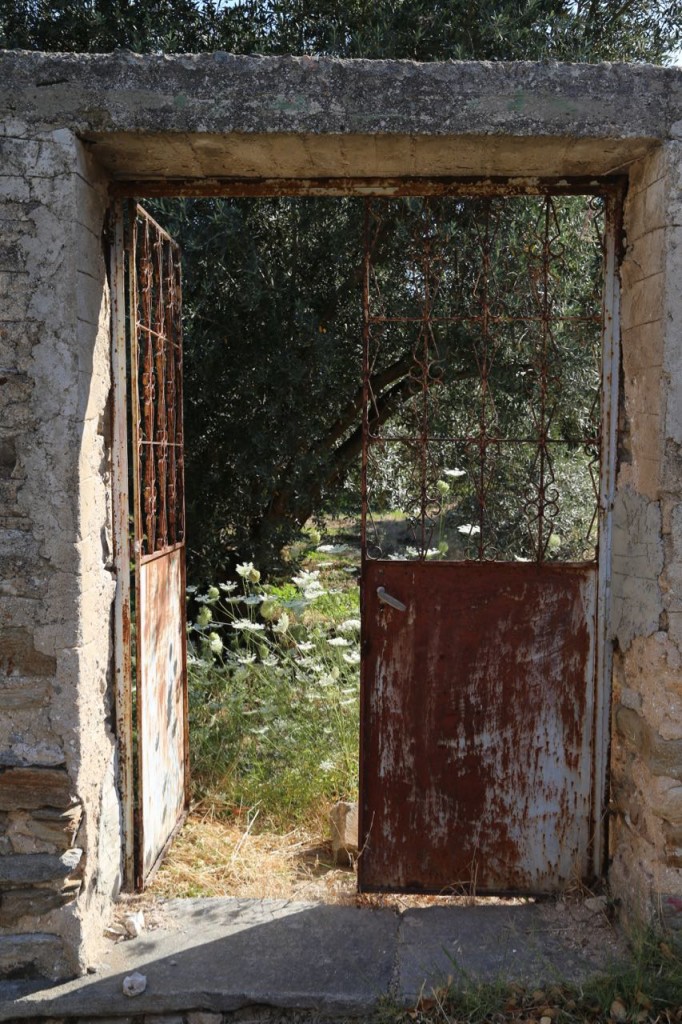 Metal gate to yard