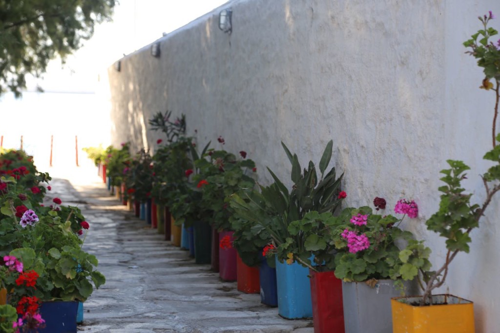 Colorful pots in an alley