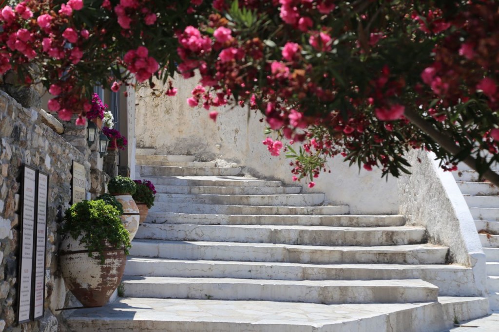 Potted plants on stairs