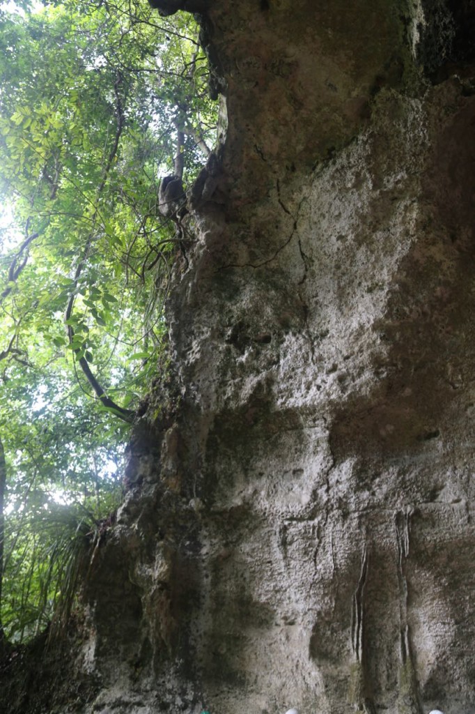 Entrance to Cave 2