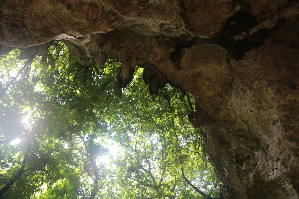 Entrance to Cave 2