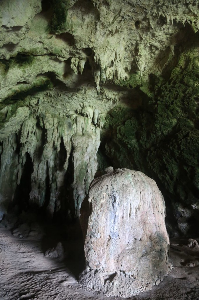 Columns in Cueva Ventana