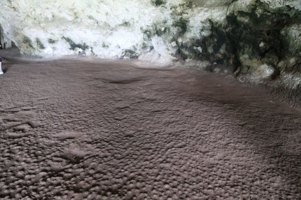 Floor and side of Cueva Ventana
