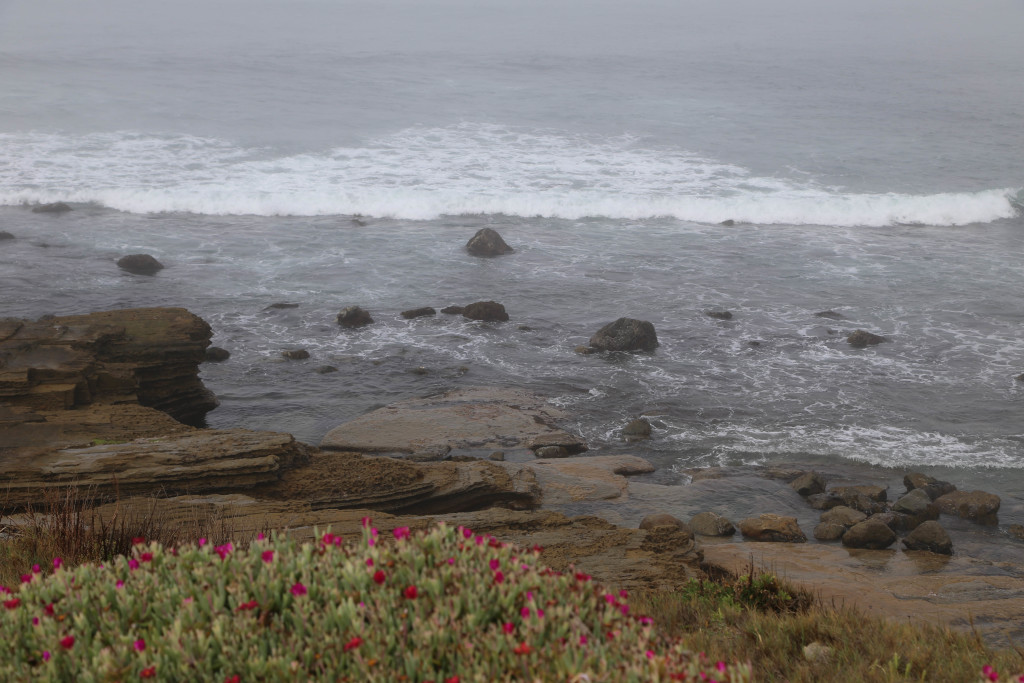 Tidal pool area