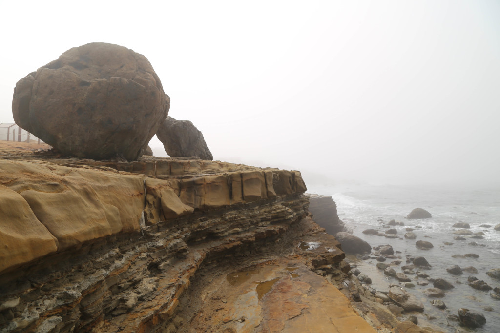 Tidal pool area