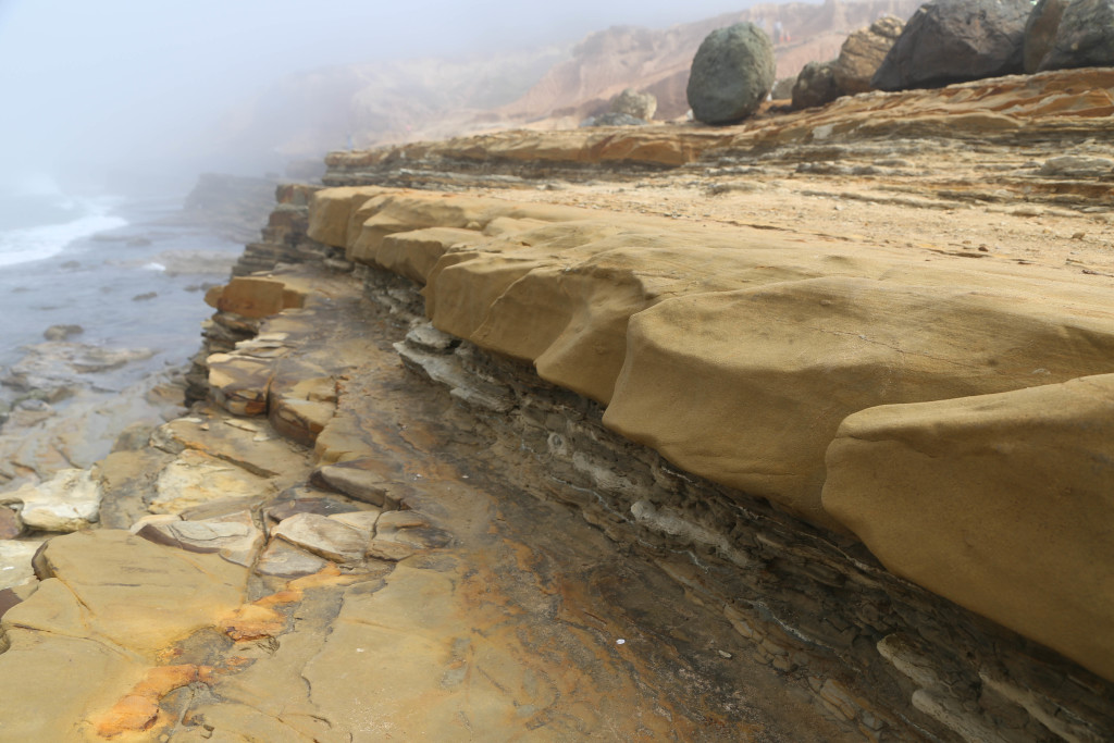 Tidal pool area