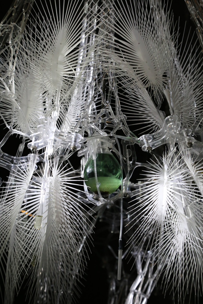 Beakers and plastic feathers