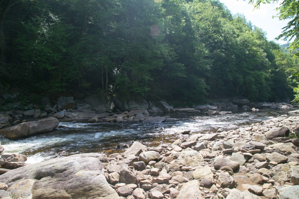 Shaver Fork of Cheat River, taken at High Falls