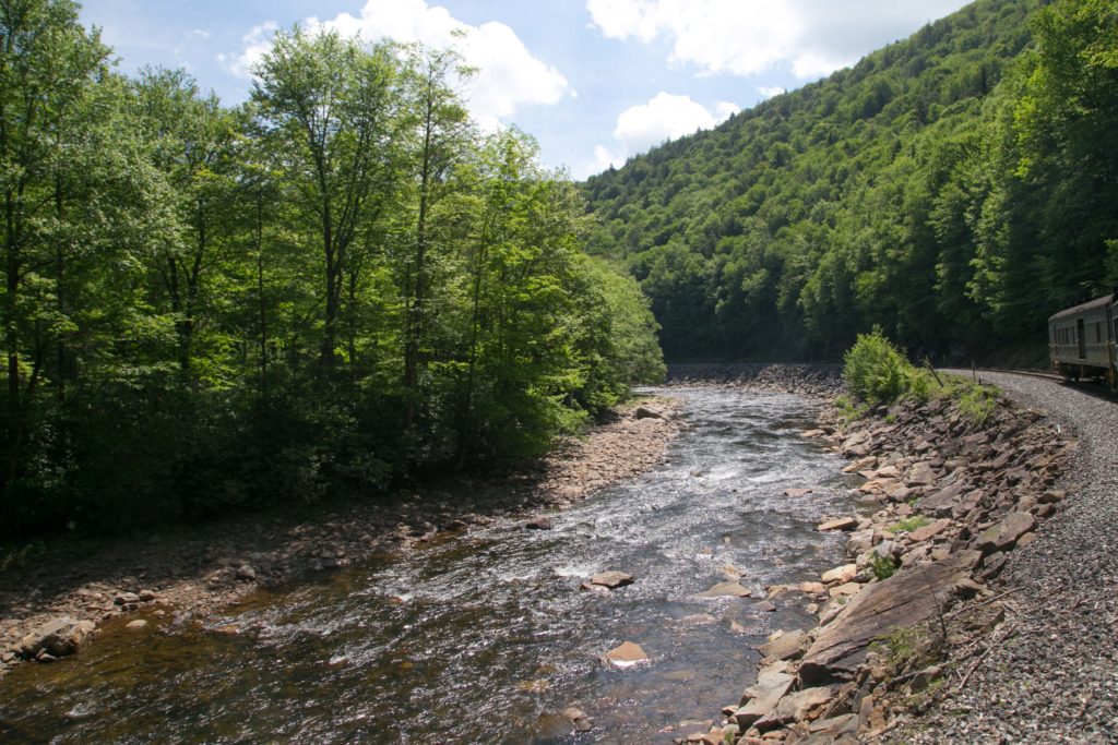 Shaver Fork of Cheat River