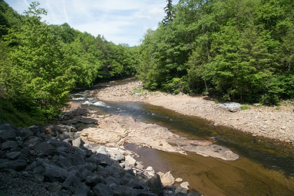 Shaver Fork of Cheat River