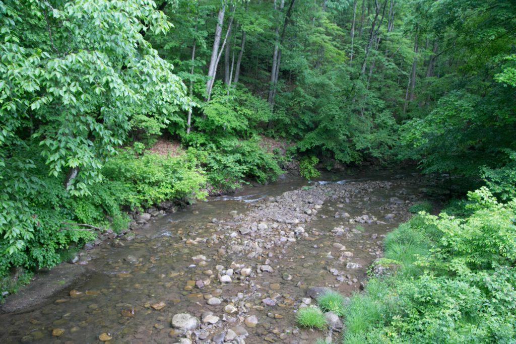 Stream along the Cass Railroad