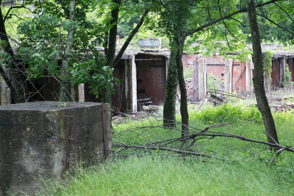 The ovens of the former mill. In the third oven, stacks of wood are present. The mill was closed so suddenly that the wood was left still in the over.