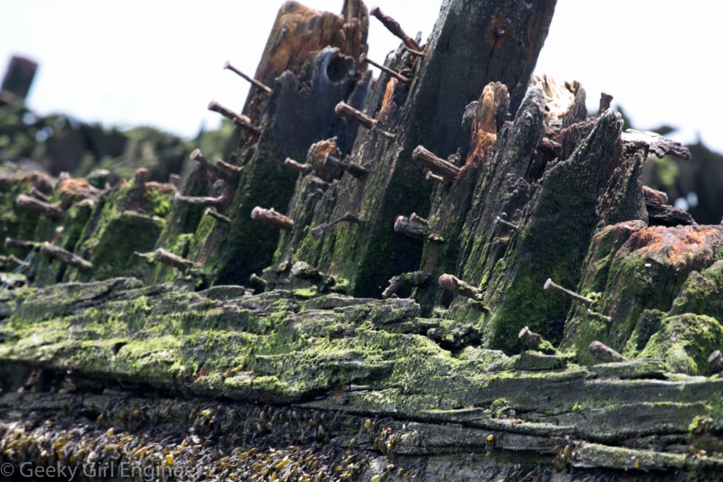 Wooden ship remains