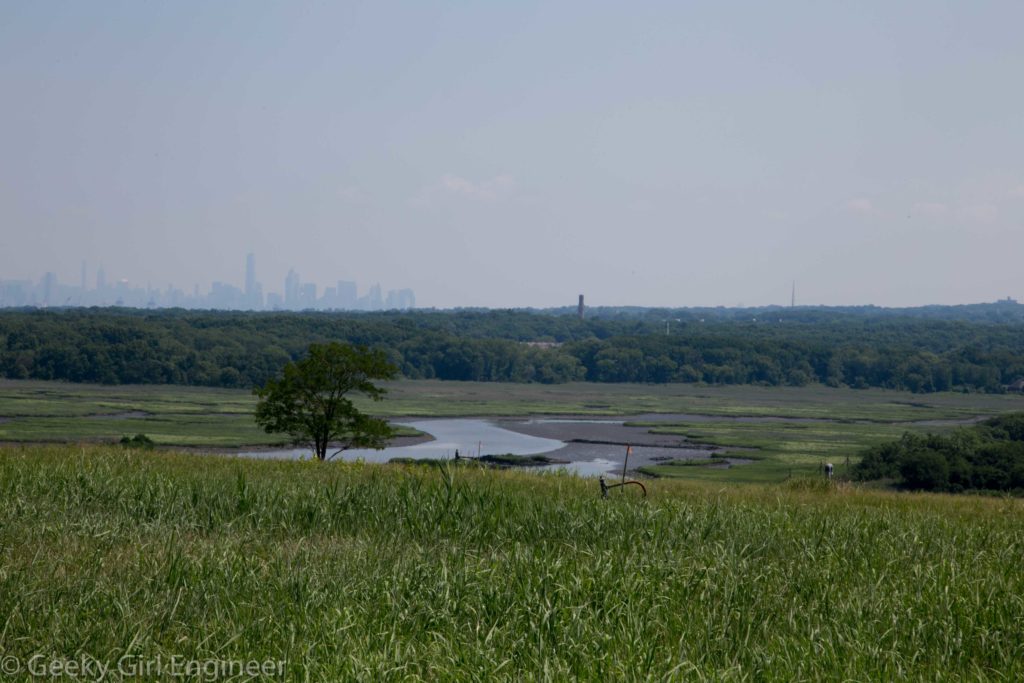 Wetlands in between mounds