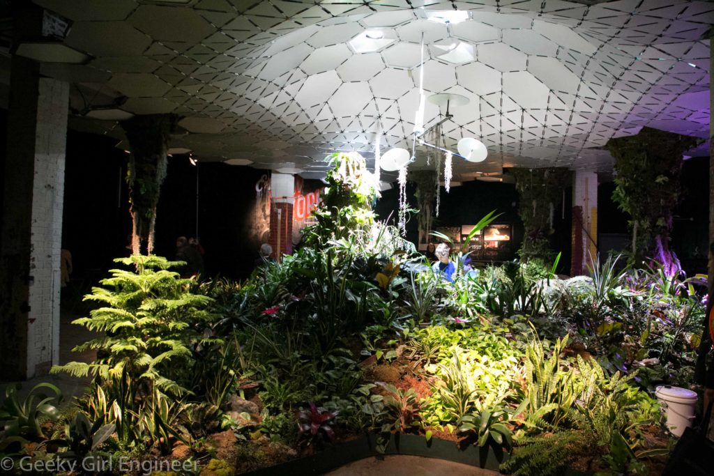 Display of plants and ceiling reflecting sunlight