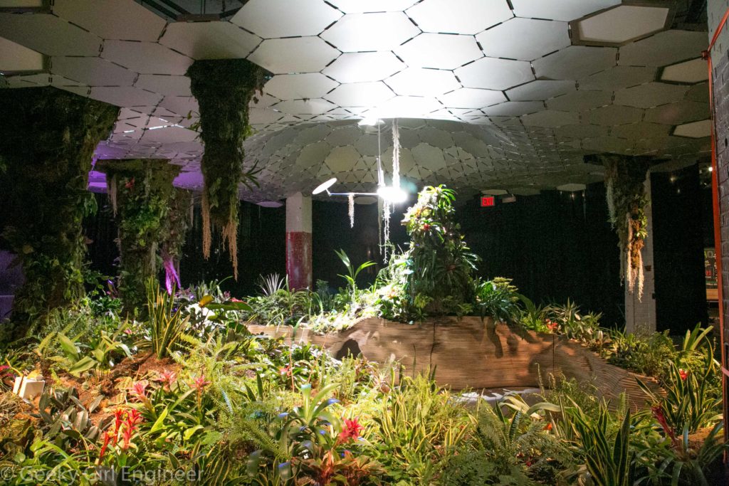 Display of plants and ceiling reflecting sunlight