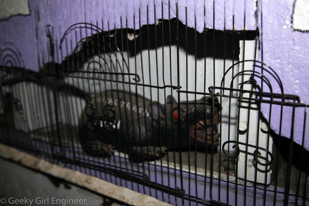 Rat behind a fence in a hole in the wall in the stairwell leading to Trash in the Treasure